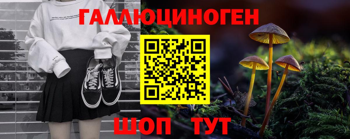 Псилоцибиновые грибы Psilocybe Ангарск